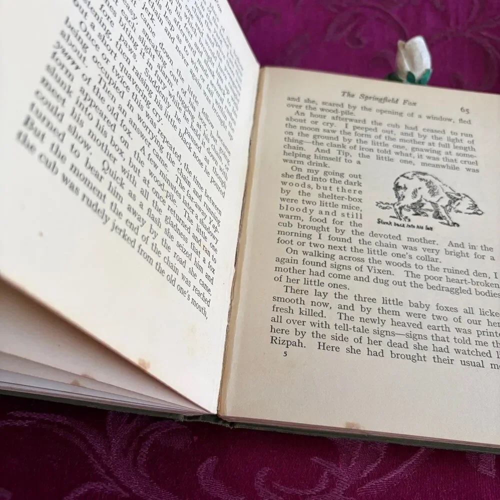 Ca 1925 Raggylug and Other Stories from Wild Animals I Have Known by E. T. Seton